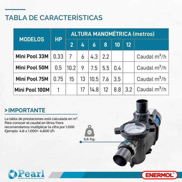 Bomba Pileta Autocebante Pearl Mini Pool 50m - Imagen 3