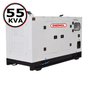 Grupo electrógeno 55 kVA motorización Lovol diésel