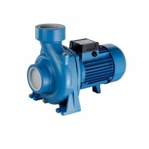 BOMBA CENTRIFUGA MOTORARG BH300 T 3HP